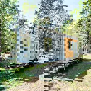 Casuarina 9.0