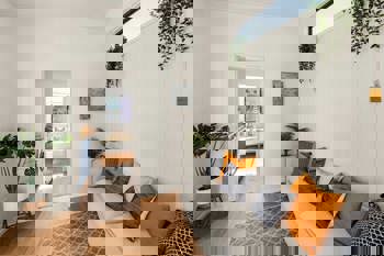 CASUARINA 10X3 image